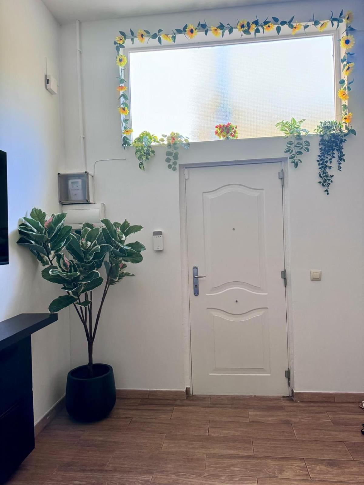 Pamis Apartament Sants, ברצלונה מראה חיצוני תמונה