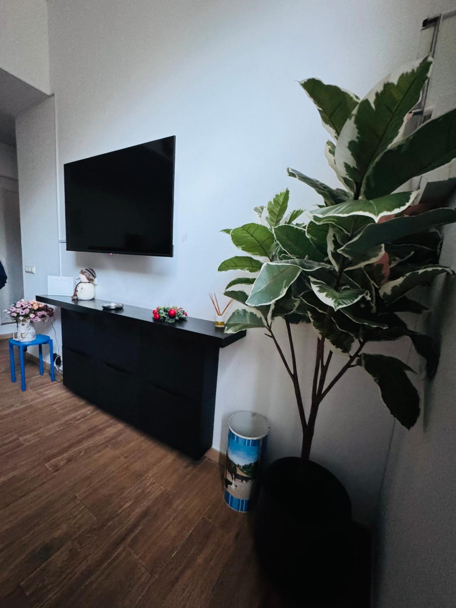 Pamis Apartament Sants, ברצלונה מראה חיצוני תמונה